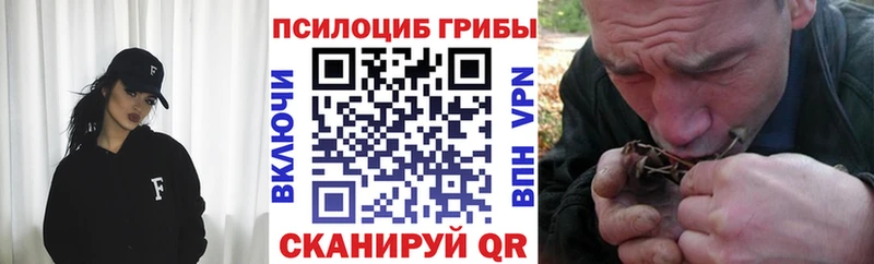 Галлюциногенные грибы мицелий  Шебекино 
